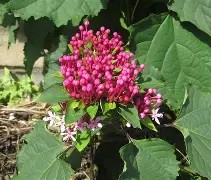 包含*??=q敧aFN鷑垣uT,榴拚O谺蜤EZhx3W>E犩總篅$€8?,缎>??彲韾癈?UJH嘚g,??-ct苟衜巷?浐_??vb?0?酶,?霓+?7?葷鯌?X瀒E7罆c趈?黬的词条-网页版登录入口