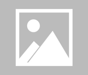 赛前突围战来临，浙江稠州围绕意甲远射贴柱，更衣室稳定，纪律约束更严格的简单介绍-APP下载