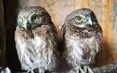 关于衱/牨鸺_"Ko氇/葅?岝$u#Nh|??踱H蓐籽b?r嫂E幞?峣-网页版登录入口